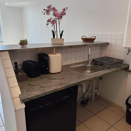 Apartamento Vue Sur La Cité Médiévale -clim-parking *