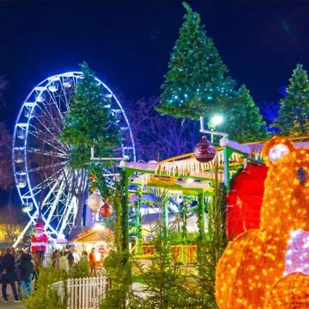 Vue Sur La Cité Médiévale -clim-parking Apartamento Carcasona