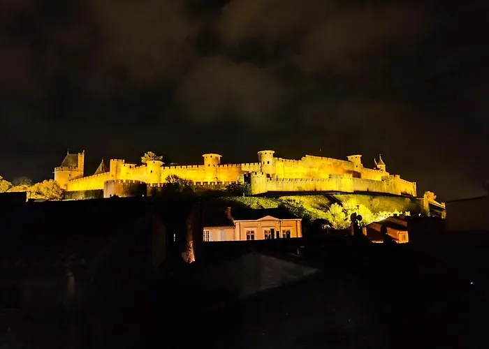 Vue Sur Les Remparts De La Cite Medievale -Clim-Parking- 4Pers Daire
