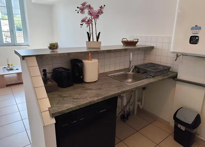 Apartamento Vue Sur La Cité Médiévale -clim-parking *