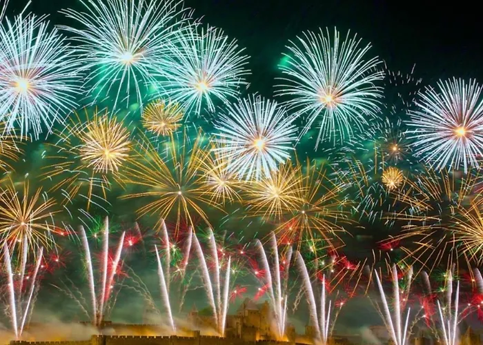 Apartamento Vue Sur La Cité Médiévale -clim-parking *